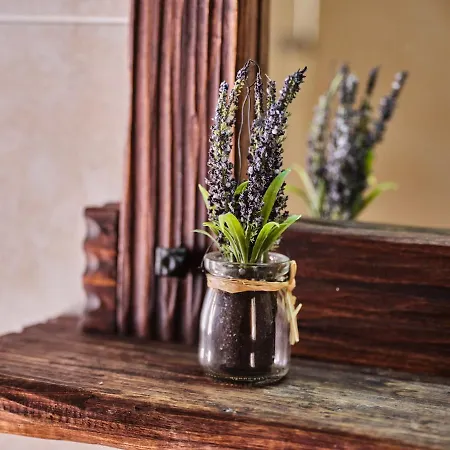 Circolo Operaio Acli 게스트하우스 3*