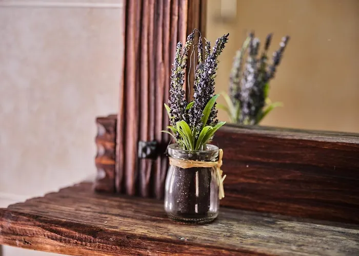 Circolo Operaio Acli Konukevi 3*